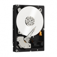 купить Жёсткий диск HDD 1TB Western Digital 7200RPM 6GB/S 128MB GOLD WD1005FBYZ Western Digital в Алматы фото 2