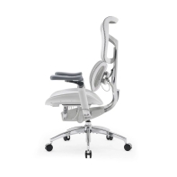 купить Офисное кресло Sihoo S300-B102-JT белый в Алматы фото 3