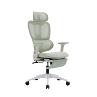 купить Кресло офисное FlexiSpot BS5LG-PRO, регулировка высоты, подлокотник 1D,выдвижная подножка,LightGreen в Алматы фото 2