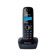 купить Радиотелефон PANASONIC KX-TG1611RUH в Алматы фото 1