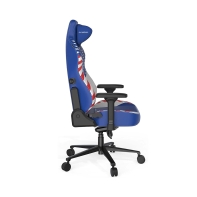 купить Игровое компьютерное кресло DX Racer CRA/PRO/BW/America edition в Алматы фото 3