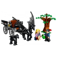 купить Конструктор LEGO Harry Potter Hogwarts Карета и Тестралы в Алматы фото 2