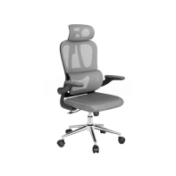 купить Кресло офисное FlexiSpot OC19BG, регулировка высоты, подлокотник 1D, Gray в Алматы фото 2
