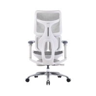 купить Офисное кресло Sihoo S100-B203-JT белый в Алматы фото 3