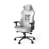купить Игровое компьютерное кресло DX Racer CRA/PRO/W/Thinker в Алматы фото 1