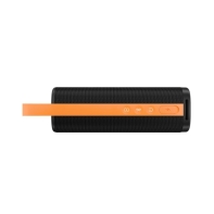 купить Беспроводная колонка Xiaomi Mi Sound Outdoor, Black (MDZ-38-DB Black), 30 Вт, 12 ч в Алматы фото 3