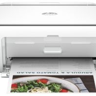 купить МФУ HP DeskJet IA 2876 All-in-One Printer (6W7E6C) в Алматы фото 1