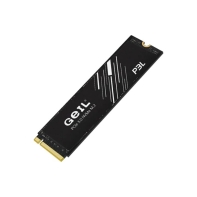 купить SSD GEIL 256GB P3L M.2 2280 PCIe3.0 NVMe P3LFD16I256G в Алматы фото 3