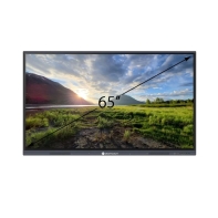 Купить Интерактивная панель 65 дюймов DigiTouch T4-65Cam Алматы