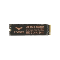 купить Твердотельный накопитель SSD T-FORCE M.2-2280 PCI-E Gen3x4 Z330 1TB BLACK RETAILW/HEAT STICKER TM8FP8001T0C311 в Алматы фото 1