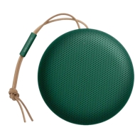Купить Портативная акустика B&O BeoSound A1 2nd Gen Green (1734012) Алматы