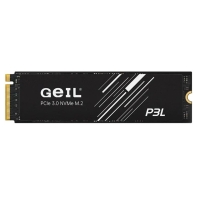 купить SSD GEIL 2000GB P3L M.2 2280 PCIe3.0 NVMe P3LFD16I2TBA в Алматы фото 1