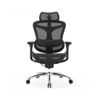Купить Офисное кресло Sihoo C100-B101 черный Алматы