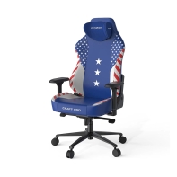 купить Игровое компьютерное кресло DX Racer CRA/PRO/BW/America edition в Алматы фото 1