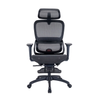 Купить Офисное кресло Sihoo B100-B101-JT черный в Алматы
