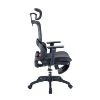 купить Кресло офисное Sihoo B100-B101-JT, регулировка высоты, подлокотник 3D, 100 кг, Black в Алматы фото 2