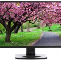 купить Монитор LCD 23.6** [16:9] 1920х1080(FHD) VA, nonGLARE, 250cd/m2, H178&deg;/V178&deg;, 3000:1, 12М:1, 16.7M, 6ms, VGA, DVI, HDMI, Tilt, Speakers, 3Y, Black в Алматы фото 1