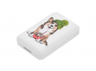 купить Зарядное устройство Power bank RITMIX RPB-10007 Corgi в Алматы фото 2