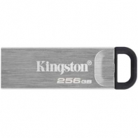 купить USB-накопитель Kingston DTKN/256GB 256GB Серебристый в Алматы фото 1