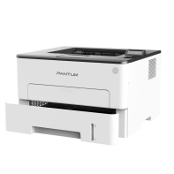купить Принтер Pantum P3300DW (А4, Лазерный, Монохромный (Ч/Б) в Алматы фото 2