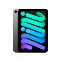 Купить Планшет Apple iPad mini 8/256GB Wi-Fi Space Grey (MXNA3QA/A) Алматы