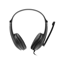 купить CANYON HSC-1 basic PC headset with microphone, combined 3.5mm plug, leather pads, Flat cable length 2.0m, 160*60*160mm, 0.13kg, Black в Алматы фото 2