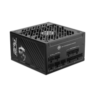 Купить Блок питания MSI MPG A850GS PCIE5, 850W, Active PFC, 80+ GOLD, Full Modular, MPG A850GS PCIE5 Алматы
