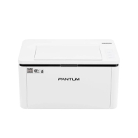 Купить Принтер лазерный Pantum BP2300W Алматы