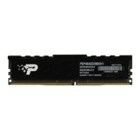 купить Модуль памяти Patriot Signature Premium, PSP464G3200KH1, DDR4, DIMM, 64Gb, KIT, 2x32Gb, 3200Mhz, CL22 в Алматы фото 2