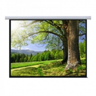 Купить Экран настенный Mr.Pixel 60* X 80* (1,52 X 2,03) Алматы