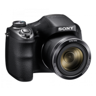 купить Фотоаппарат компактный Sony DSC-H300 черный в Алматы фото 1
