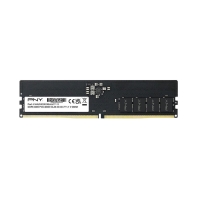 купить PNY 16GB,DDR5,DIMM,4800,BLK в Алматы фото 1