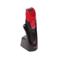 купить Panasonic ER-GB40-R520/Триммер  бороды и усов в Алматы