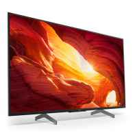 купить Телевизор Sony KD49XH8596BR в Алматы фото 1
