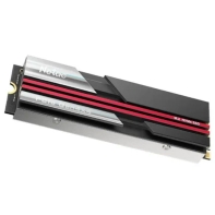 купить Твердотельный накопитель SSD 4Tb, M.2 2280, Netac NV7000, NVMe, PCIe 4x4, 7200R/5500W, heat sink в Алматы фото 2