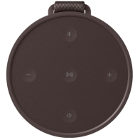 купить Портативная акустика BANG & OLUFSEN Beosound Explore Chestnut (1626005) в Алматы фото 3