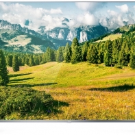 купить Телевизор TCL L50P6US Smart 4K UHD в Алматы фото 1