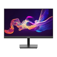 Купить LCD 23.8" HikVision DS-D5024F2-AP2, 1920x1080 IPS (LED) 100Hz, 5ms, 250cd/m2, 1000:1, HDMI/D-Sub Алматы