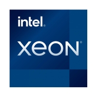 Купить Процессор Intel Xeon W3 2525, LGA 4677, 3.5GHz base, 4.5GHz Turbo, 8С/16Е, 22.5MB L3, PK8071305502400 Алматы