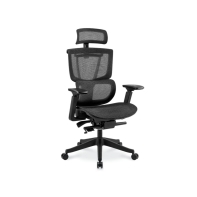 Купить Эргономичное кресло FLEXISPOT C7B-Mesh-FT Black <Сетка, подлокотник 4D,газлифт 4, держатель для ног> Алматы