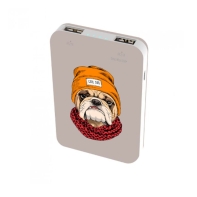 купить Зарядное устройство Power bank Ritmix RPB-10007 Bulldog в Алматы фото 2