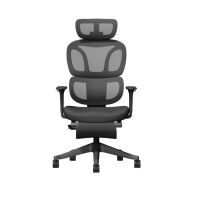 Купить Кресло офисное FlexiSpot BS5B-PRO, регулировка высоты, подлокотник 1D, выдвижная подножка, Black в Алматы