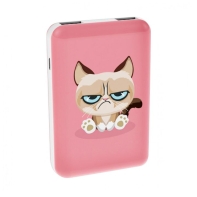 купить Зарядное устройство Power bank Ritmix RPB-10007 Grumpy Cat в Алматы фото 1