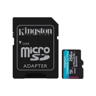купить Карта памяти MicroSD, Kingston Canvas Go! Plus Gen4, 256GB, SDCG4/256GB, Class 10, UHS-I, R200/W160 в Алматы фото 1