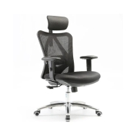 Купить Офисное кресло Sihoo M18-031 черный Алматы