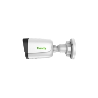 купить IP-камера Tiandy TC-C34WS M в Алматы фото 2