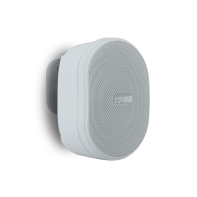 Купить Настенный громкоговоритель Biamp OVO3T-W Алматы