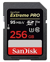 купить Карта памяти SD 256GB Class 10 U3 SanDisk SDSDXXG-256G-GN4IN в Алматы фото 1
