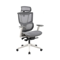 Купить Эргономичное кресло FLEXISPOT C7WG-Mesh-FT W/G <Сетка, подлокотник 4D,газлифт 4, держатель для ног> Алматы