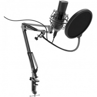 купить Студийный микрофон RITMIX RDM-180 черный в Алматы фото 1